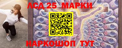 крисы Новокубанск