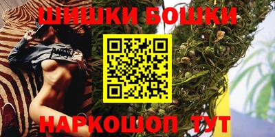 крисы Новокубанск