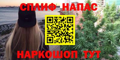 крисы Новокубанск