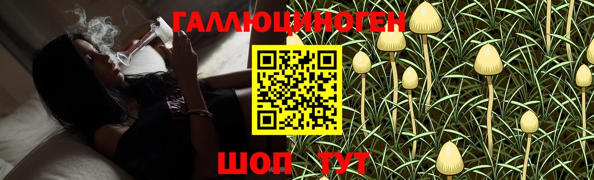 Тихорецк  купить наркотик  Вход с VPN  Псилоцибиновые грибы Psilocybe 