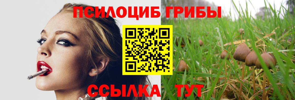 Псилоцибиновые грибы GOLDEN TEACHER Тихорецк